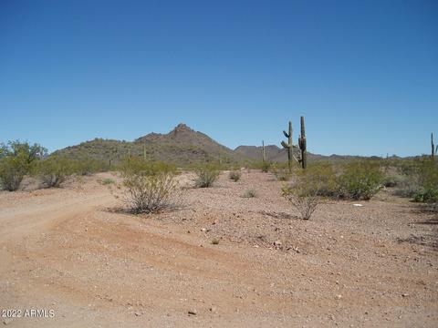 31455 W Painted Wagon Trl #193, Unincorporated County, AZ 85361