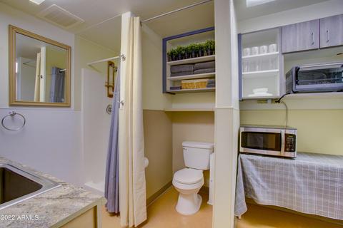 1172 E Tonto St, Apache Junction, AZ 85119 photo 49