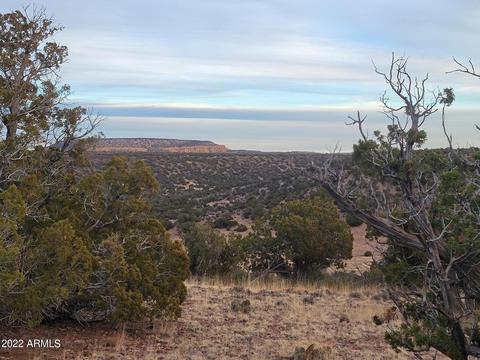 9785 Mesa Rd #-, Snowflake, AZ 85937 photo 8