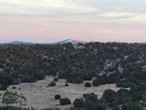 9785 Mesa Rd #-, Snowflake, AZ 85937 photo 20