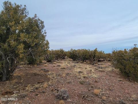 9785 Mesa Rd #-, Snowflake, AZ 85937 photo 15