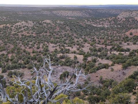 9785 Mesa Rd #-, Snowflake, AZ 85937 photo 13