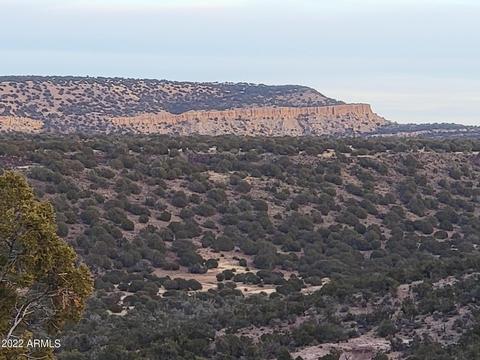 9785 Mesa Rd #-, Snowflake, AZ 85937 photo 7