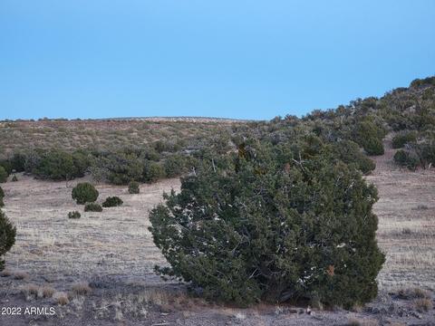 9785 Mesa Rd #-, Snowflake, AZ 85937 photo 5