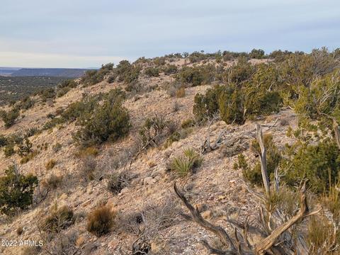 9785 Mesa Rd #-, Snowflake, AZ 85937 photo 14