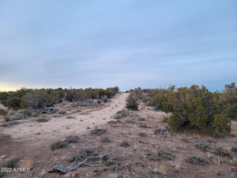 9785 Mesa Rd #-, Snowflake, AZ 85937 photo 16