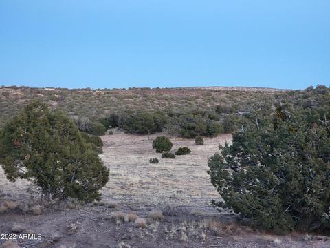 9785 Mesa Rd #-, Snowflake, AZ 85937 photo 9