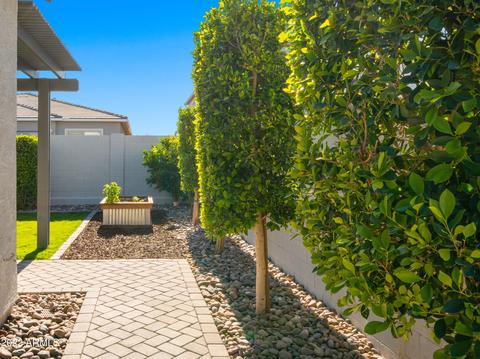 10145 E Strobe Ave, Mesa, AZ 85212 photo 50