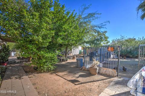 6309 E Boston St, Mesa, AZ 85205 photo 9