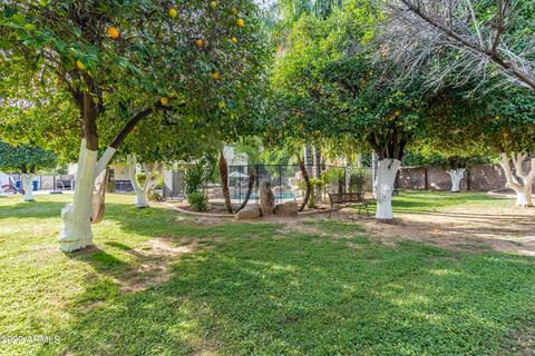 4208 E Fox St, Mesa, AZ 85205 photo 55