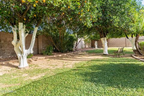 4208 E Fox St, Mesa, AZ 85205 photo 57
