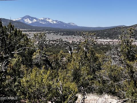 1680 E Sagebrush Rd #914, Williams, AZ 86046