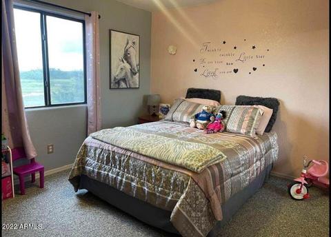 9822 Orion Ter, Hereford, AZ 85615 photo 16