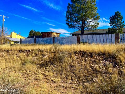 0 E Yacqui St #LOT 6, Springerville, AZ 85938 photo 10