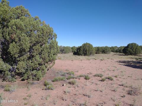 4428 Mountain View Rd #100, Snowflake, AZ 85937
