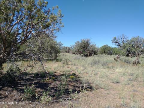 4318 Pinto Rd #50, Snowflake, AZ 85937