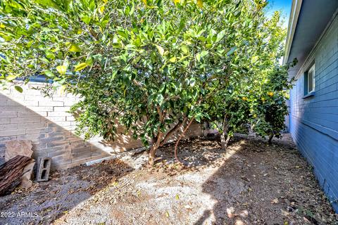 1819 E Minnezona Ave, Phoenix, AZ 85016 photo 16