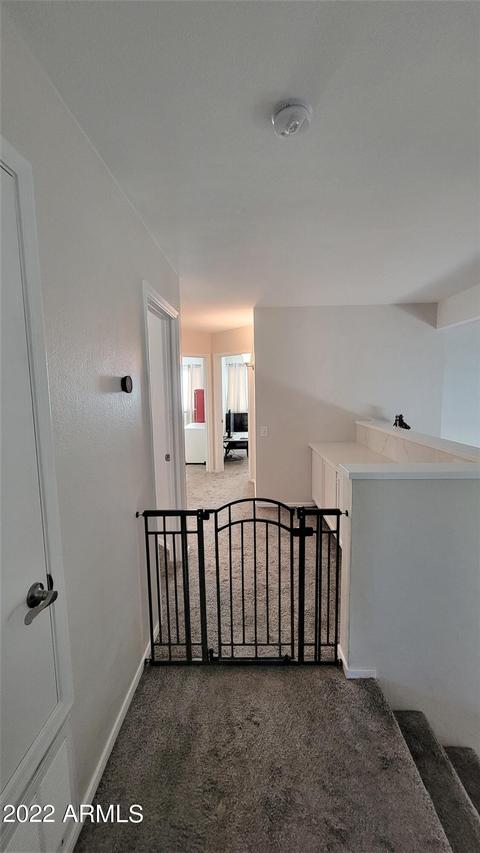 6460 E Palm St, Mesa, AZ 85215 photo 29