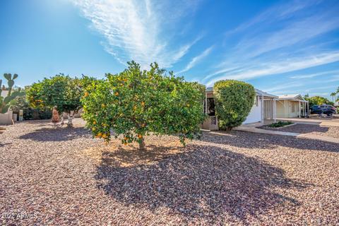 3160 E Main St #82, Mesa, AZ 85213 photo 23