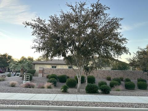 2956 E Blue Sage Rd, Gilbert, AZ 85297 photo 55