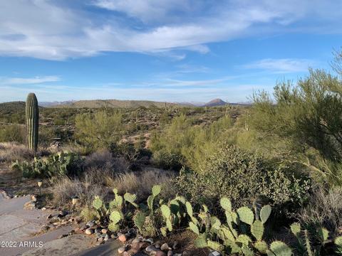 39196 E Snaffle Bit Ln, Florence, AZ 85132 photo 45