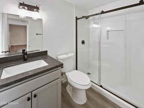 2062 E Downing St, Mesa, AZ 85213 photo 13