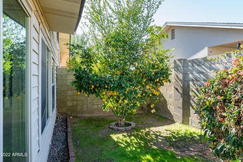 4032 E Sacaton St, Phoenix, AZ 85044 photo 31