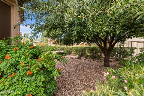 4534 E Carob Dr, Gilbert, AZ 85298 photo 35