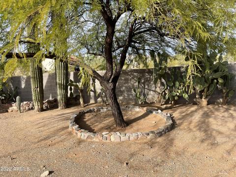1325 N Cortez Rd, Apache Junction, AZ 85119 photo 135