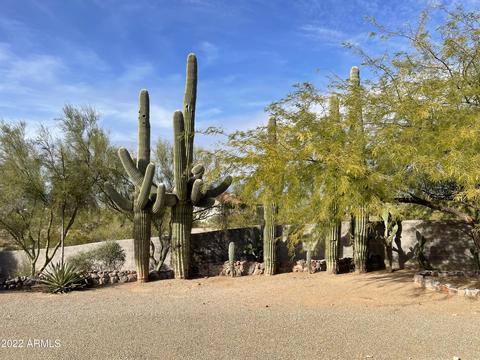 1325 N Cortez Rd, Apache Junction, AZ 85119 photo 129