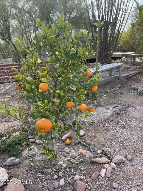 1325 N Cortez Rd, Apache Junction, AZ 85119 photo 71