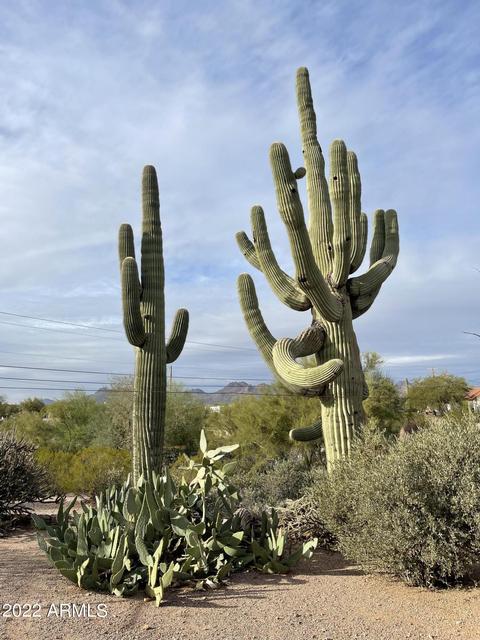1325 N Cortez Rd, Apache Junction, AZ 85119 photo 70