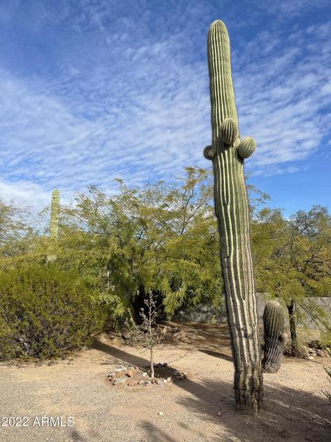 1325 N Cortez Rd, Apache Junction, AZ 85119 photo 102