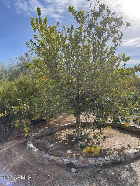 1325 N Cortez Rd, Apache Junction, AZ 85119 photo 105
