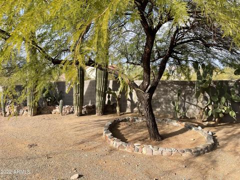1325 N Cortez Rd, Apache Junction, AZ 85119 photo 100