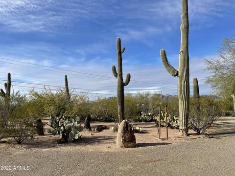 1325 N Cortez Rd, Apache Junction, AZ 85119 photo 111