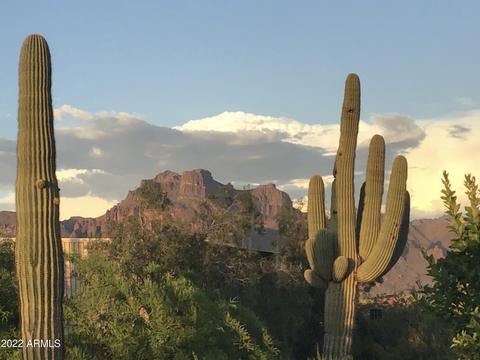 1325 N Cortez Rd, Apache Junction, AZ 85119 photo 6