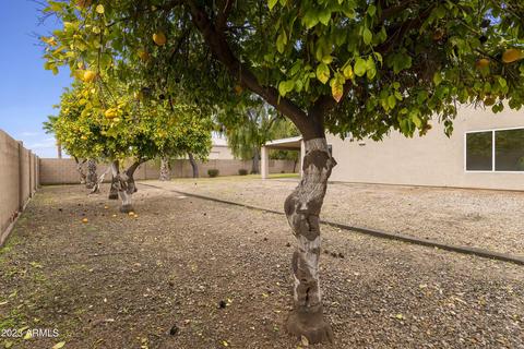 24320 S 183rd Pl, Gilbert, AZ 85298 photo 58