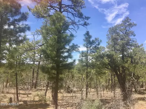 1490 W Snow Creek Trl #103, Show Low, AZ 85901