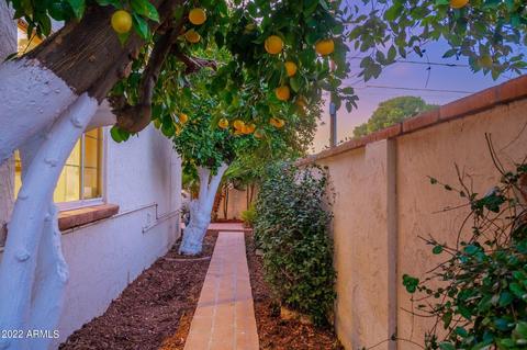 4340 N 40th St, Phoenix, AZ 85018 photo 69