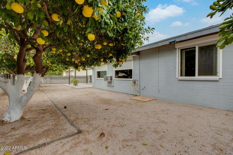4439 E Carmel Ave, Mesa, AZ 85206 photo 42