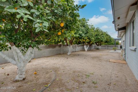 4439 E Carmel Ave, Mesa, AZ 85206 photo 41