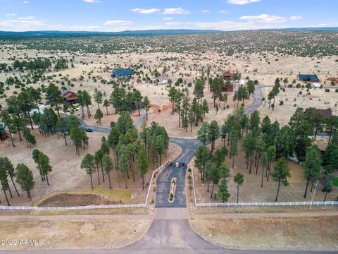 2255 Brown Bear Cir, Overgaard, AZ 85933 photo 45