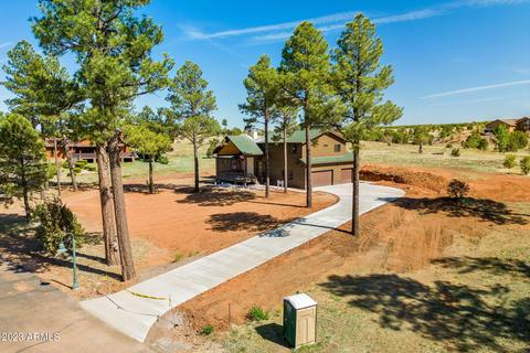 2255 Brown Bear Cir, Overgaard, AZ 85933 photo 31