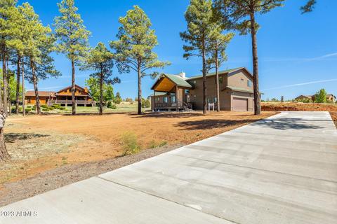 2255 Brown Bear Cir, Overgaard, AZ 85933 photo 35