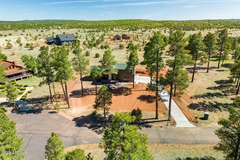 2255 Brown Bear Cir, Overgaard, AZ 85933 photo 37