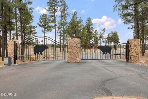 2255 Brown Bear Cir, Overgaard, AZ 85933 photo 47