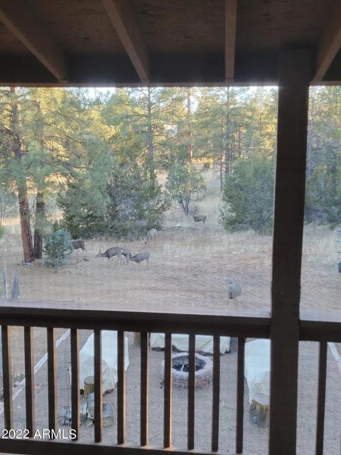 2873 Lodge Pole Rd, Overgaard, AZ 85933 photo 24