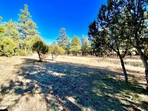 2873 Lodge Pole Rd, Overgaard, AZ 85933 photo 29