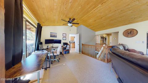 2873 Lodge Pole Rd, Overgaard, AZ 85933 photo 4